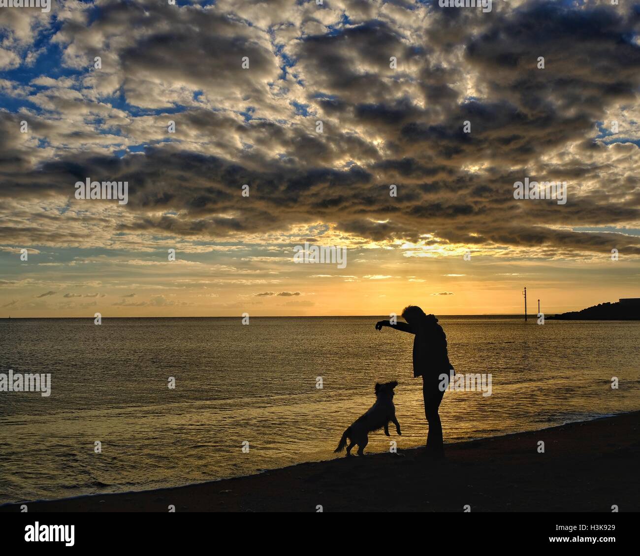 West Bay, Dorset, UK. 9 October 2016. A woman plays with her dog on West Bay Beach as the day ends with a Beautiful Autumn sunset. Stock Photo