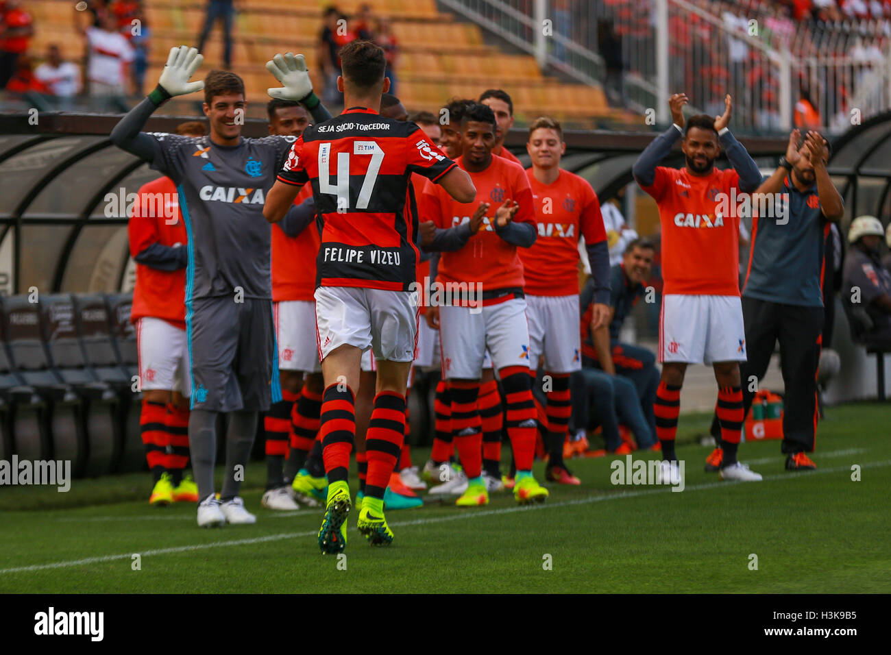 Sao Paulo, Brazil. 09th Oct, 2016. FLAMENGO X SANTA CRUZ - The player ...