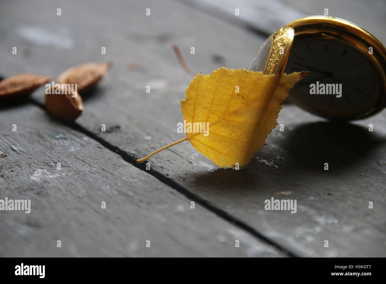 Autumn time or october idea Stock Photo