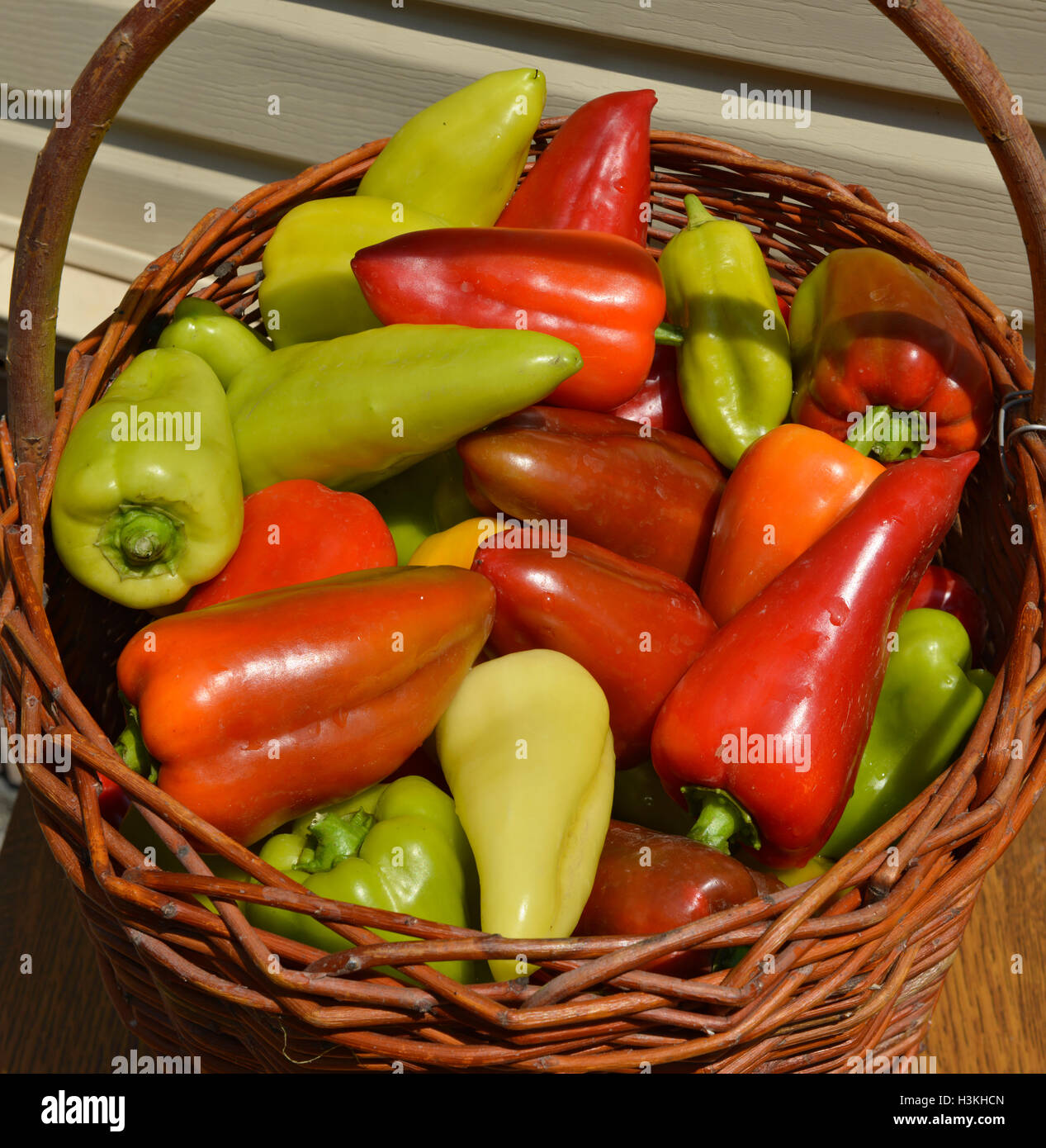 Closeup of wicker basket full of sweet pepper of bright colors in