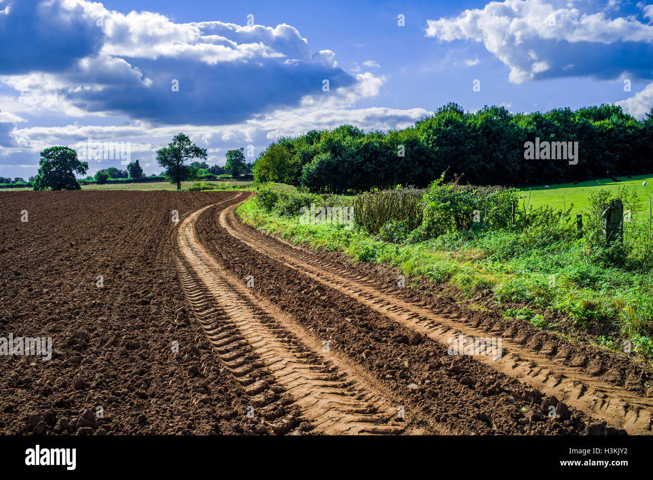 generic english farmland Stock Photo Alamy