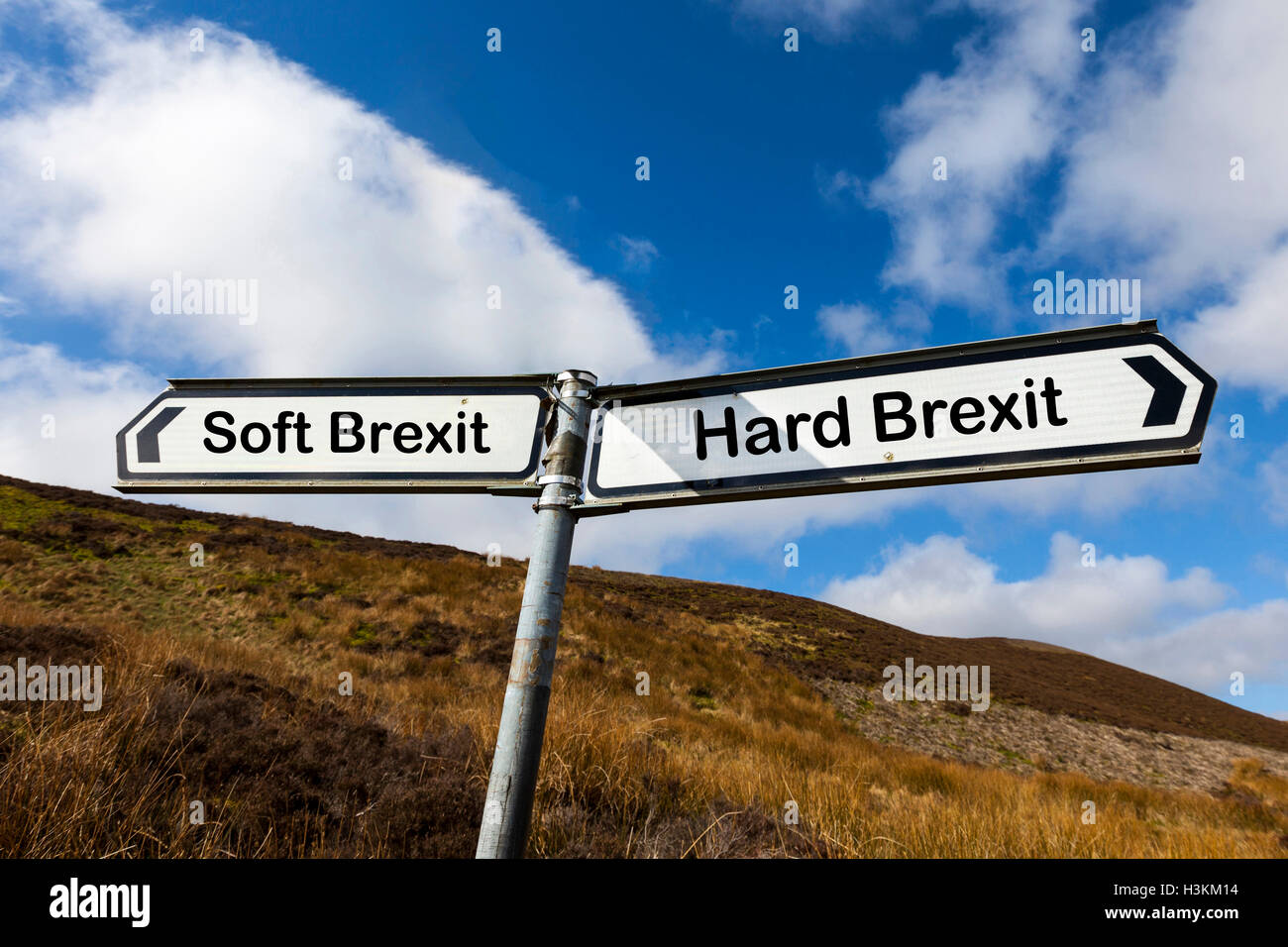 Soft brexit hard brexit GB UK England Article 50 European leaving Europe jurisdiction ruling options choice choices Stock Photo