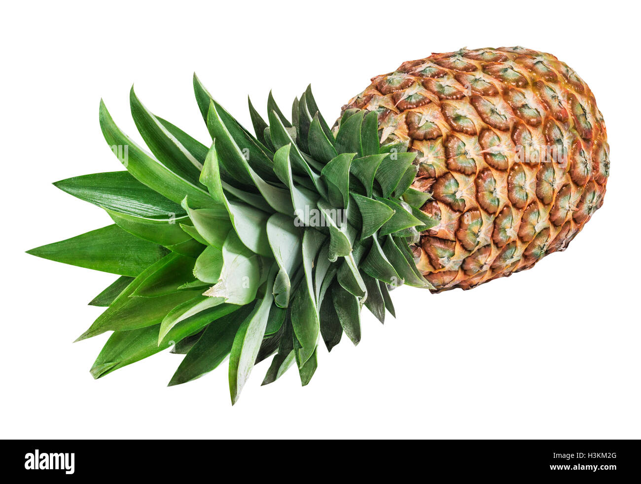 Pineapple isolated on white background Stock Photo - Alamy