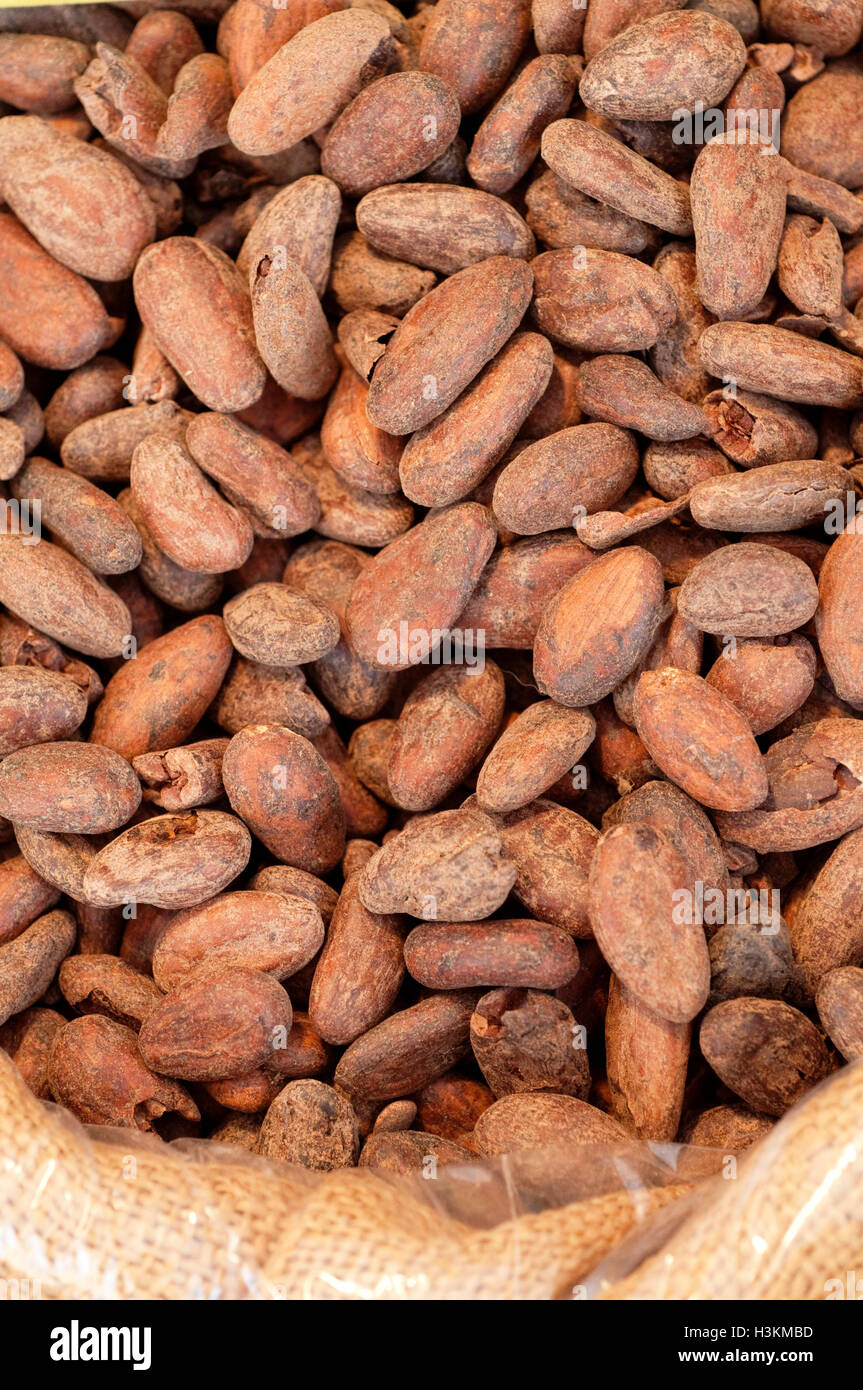 Cocoa Beans, Chocolate Ingredient Stock Photo