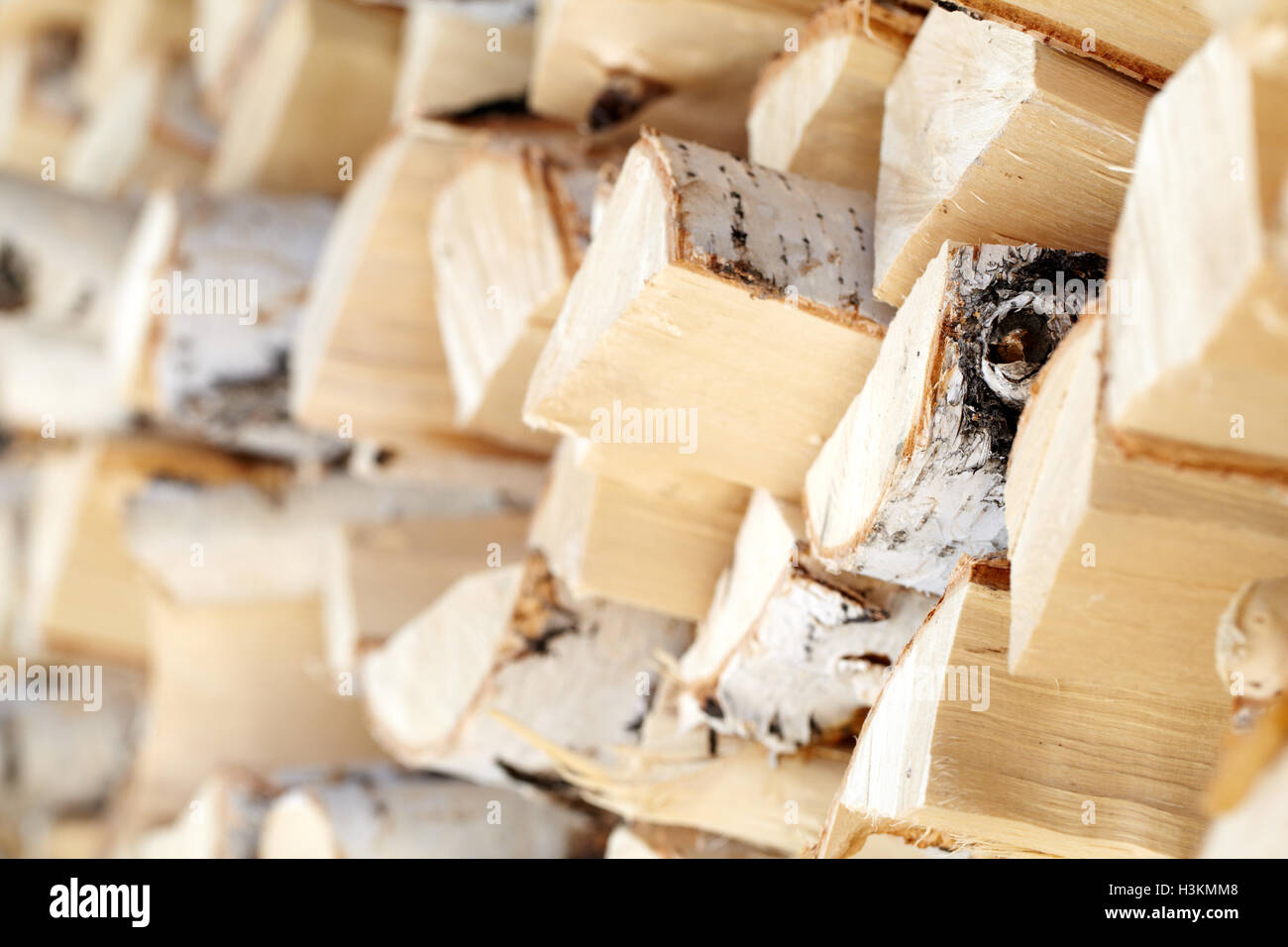 Stock of firewood Stock Photo