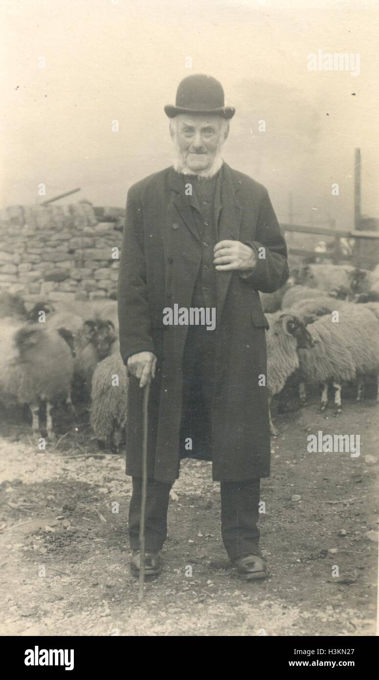 Portrait of retired shepherd with his flock of sheep Stock Photo