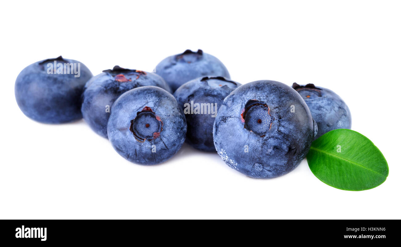 Blueberry fresh blueberries on white Stock Photo
