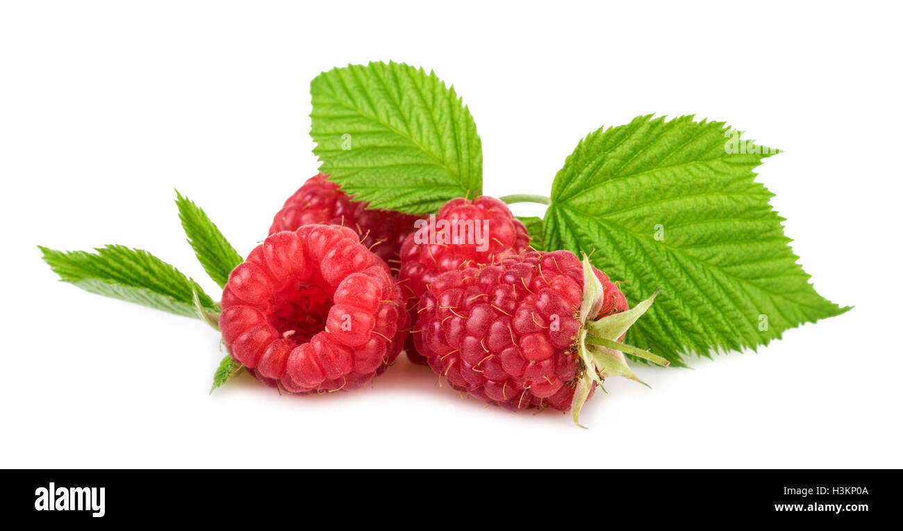 fresh raspberry organic Stock Photo