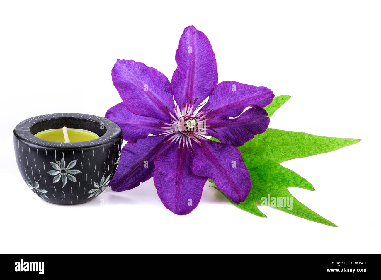 Purple tropical flower hi-res stock photography and images - Alamy