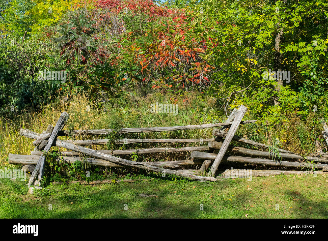 A split-rail fence and autumn foliage. Stock Photo