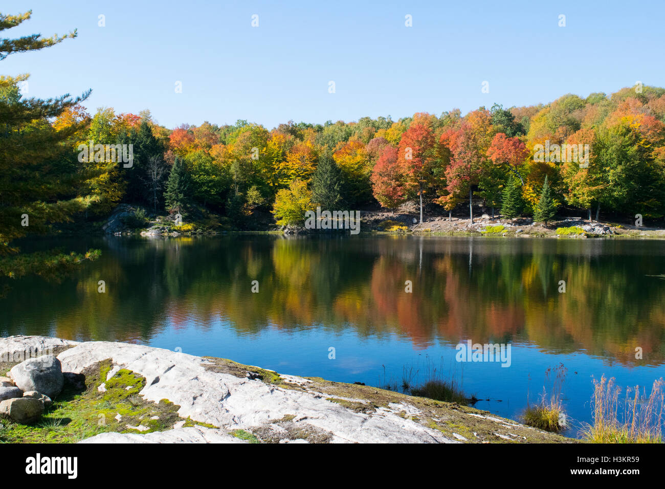Trout Lake at Omega Park, Quebec Stock Photo Alamy