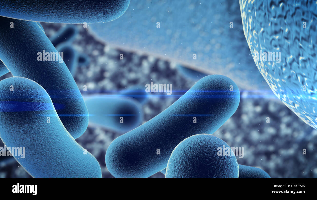3D rendering of Bacterial infection under microscope Stock Photo - Alamy