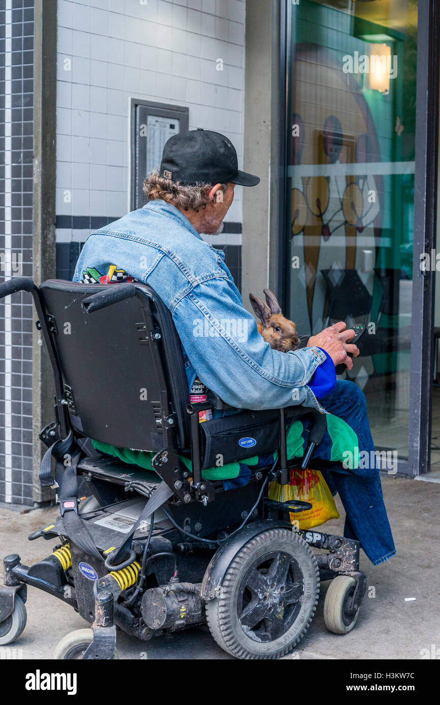 Man on motorized wheelchair with pet rabbit Stock Photo