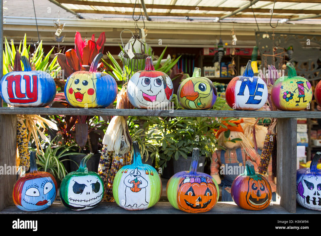 Painted pumpkins at a farm market Stock Photo - Alamy