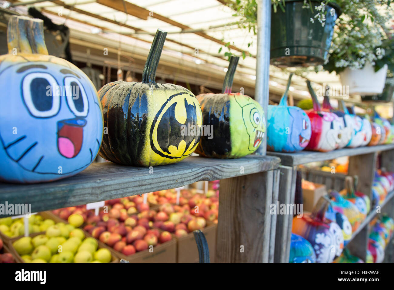 Painted pumpkins on display at a farm market Stock Photo - Alamy