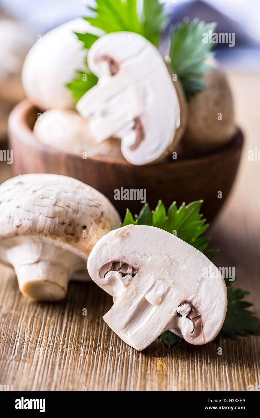 Mushroom. Champions mushrooms in different positions with herb Stock Photo  - Alamy