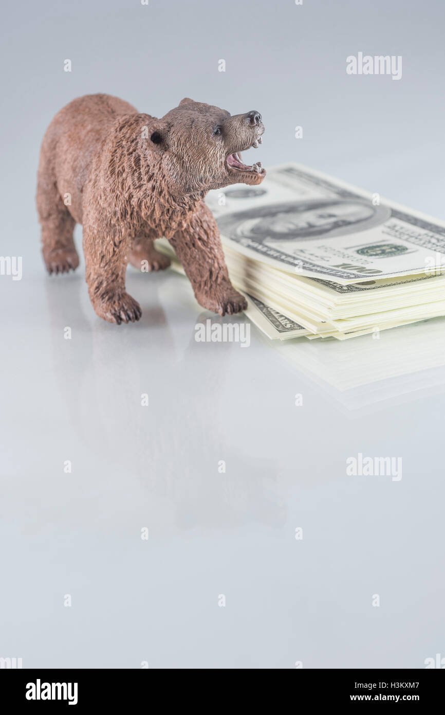 Bear with pile of US 100$ Franklin bills / banknotes, as metaphor for concept of Bull & Bear financial markets, market crash 2020, market downturn. Stock Photo