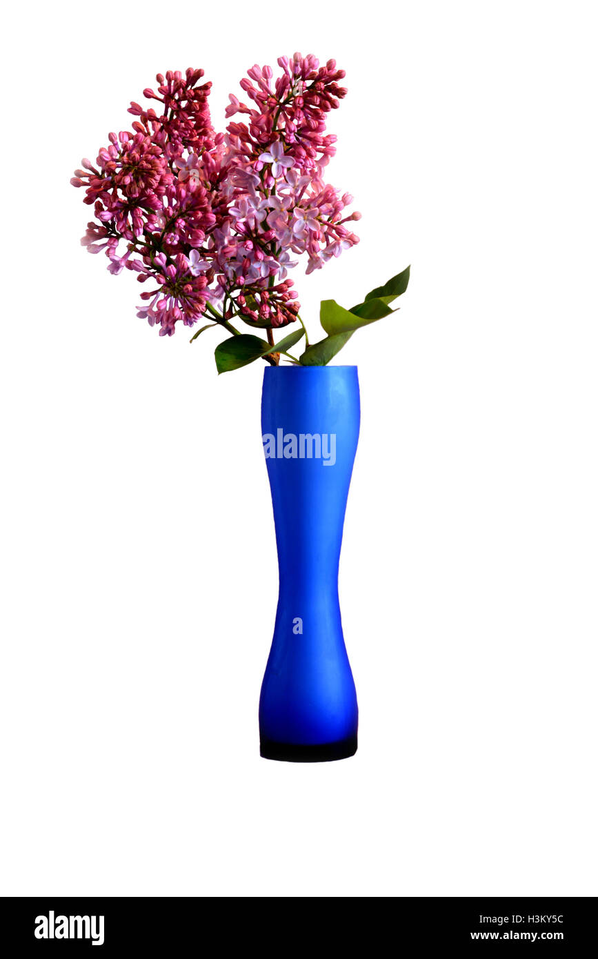 Broken vase Cut Out Stock Images & Pictures Alamy