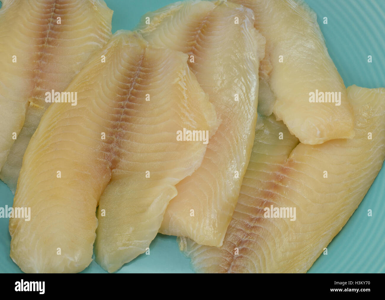 Frozen tilapia fish fillets thawing on blue plate Stock Photo Alamy