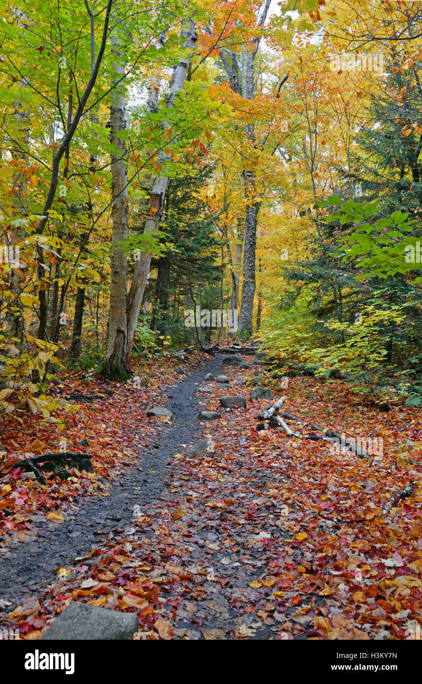 Saratoga lake hi-res stock photography and images - Alamy