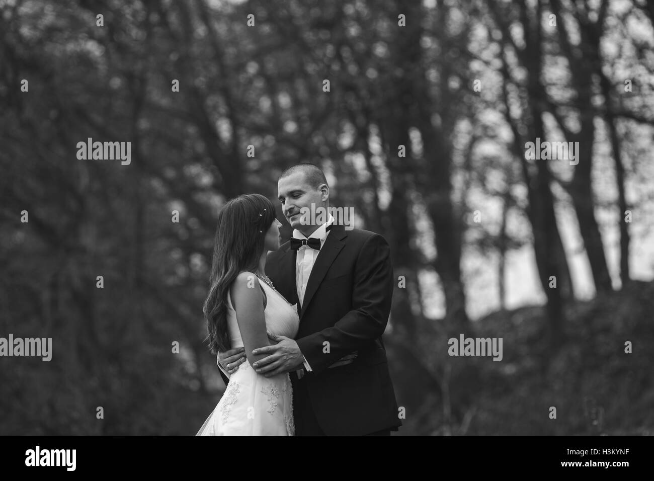 happy bride and groom posing in the autumn forest Stock Photo - Alamy