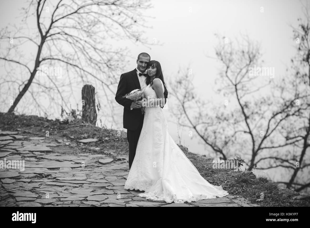 happy bride and groom posing for the camera Stock Photo - Alamy