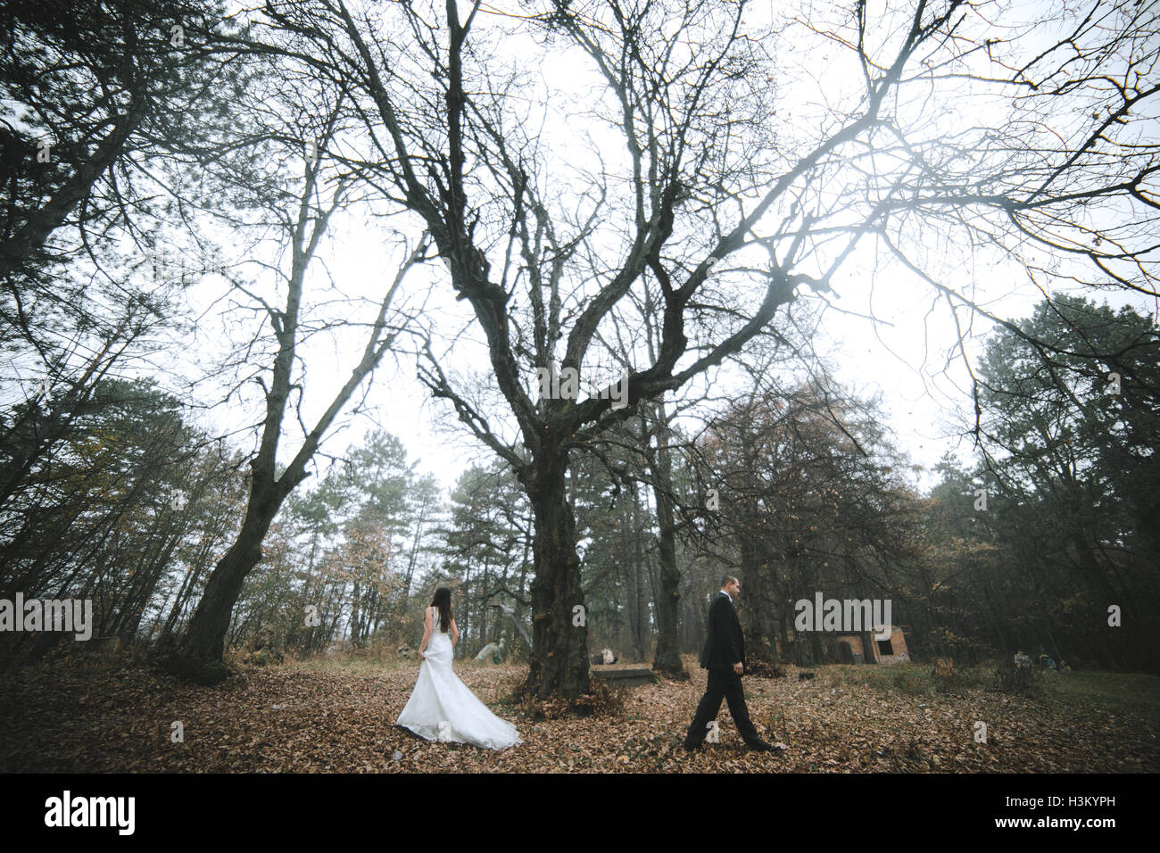 happy bride and groom posing in the autumn forest Stock Photo - Alamy