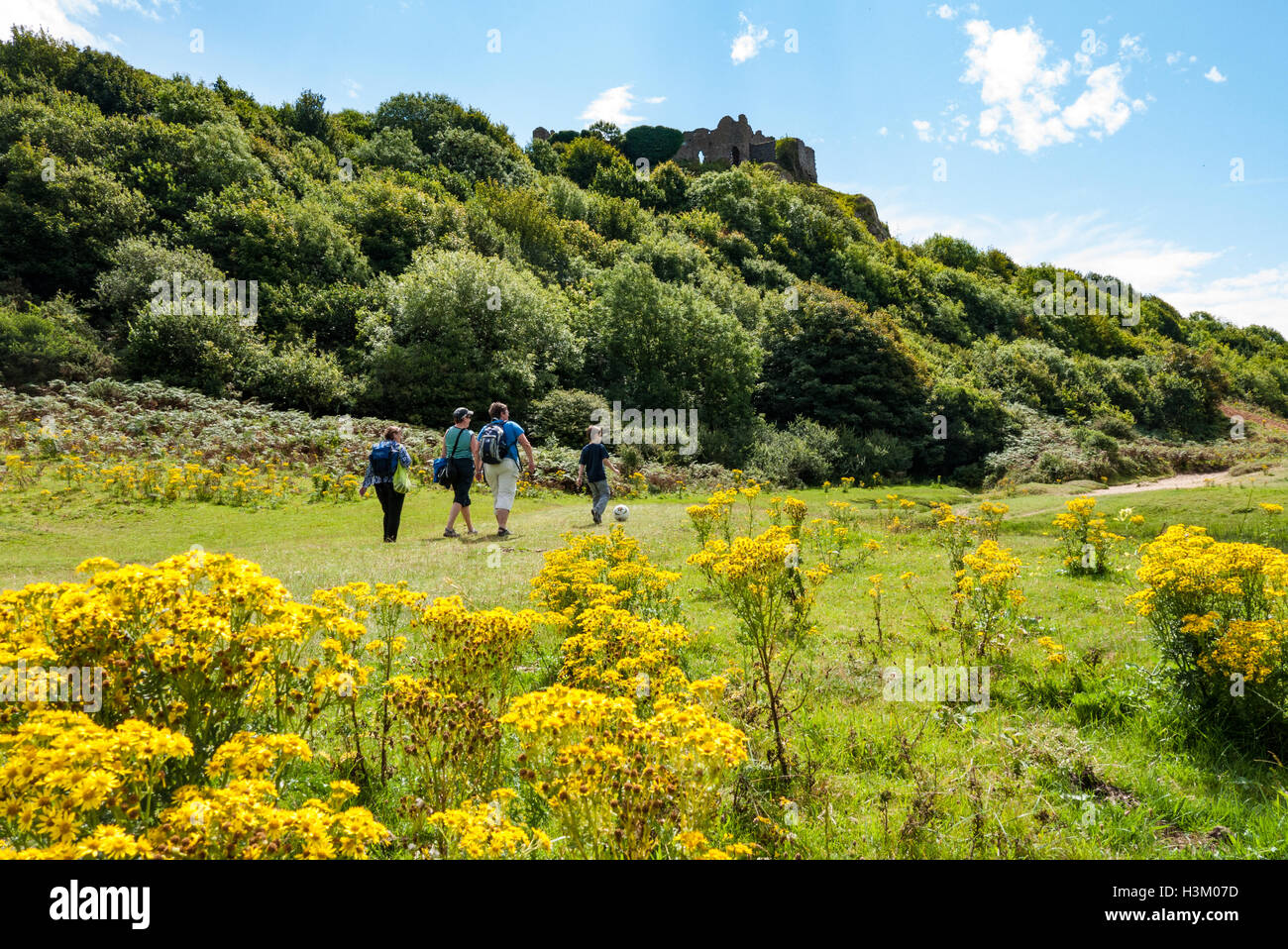 Gower Peninsula Castle Stock Photos & Gower Peninsula Castle Stock ...