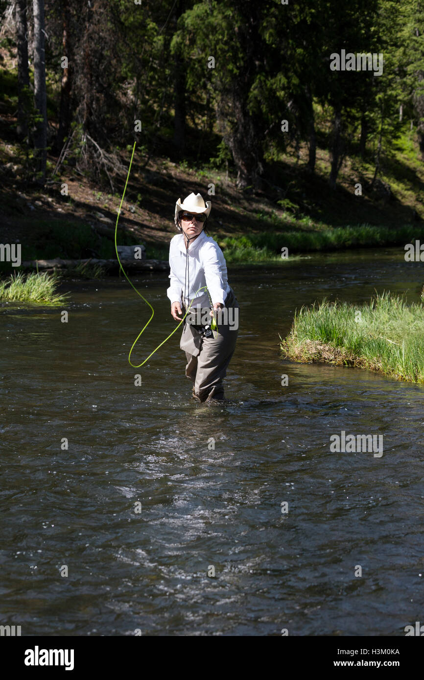 WY01038-00...WYOMING - Peta St Baker fly fishing the Brooks Lake Creek near Dubois. (MR#S25) Stock Photo