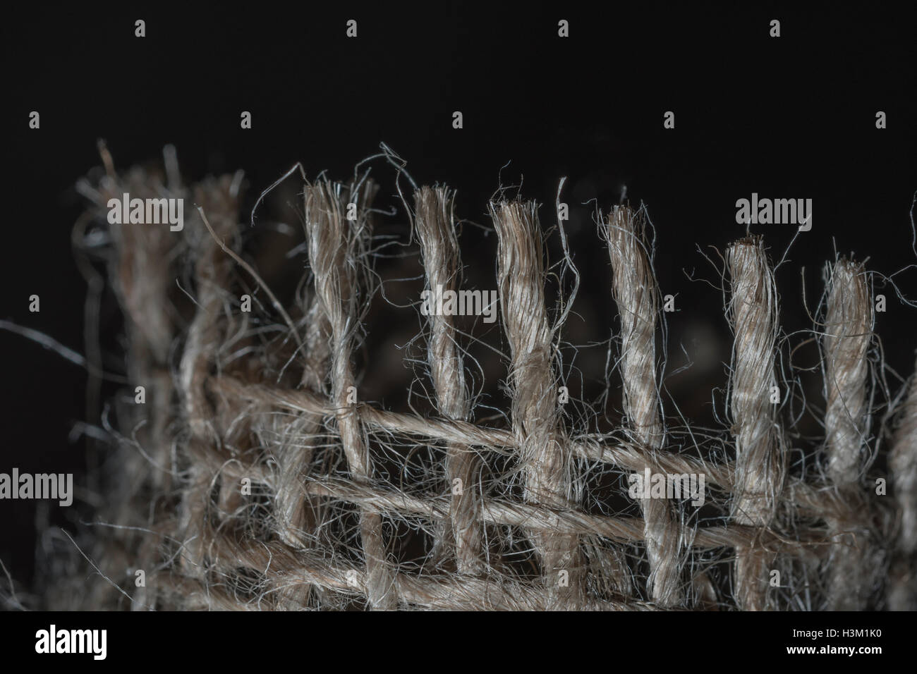 Macro-photo of the fraying edges of natural fibre, jute burlap sacking material showing detail of the fine threads. Stock Photo