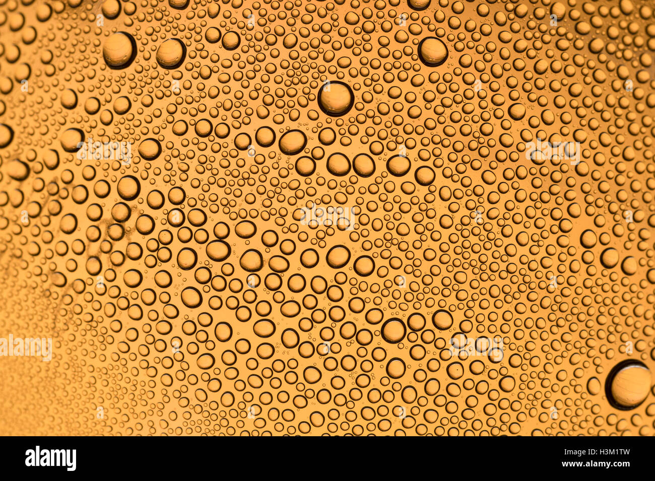 Abstract image of beads of water condensation on the inside of a PTFE bottle. World Water Day concept, Water Day abstract, water trading market Stock Photo