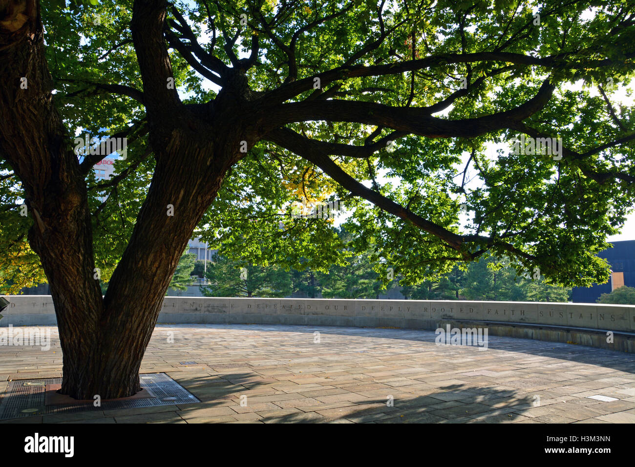 Survivor tree memorial hi-res stock photography and images - Alamy