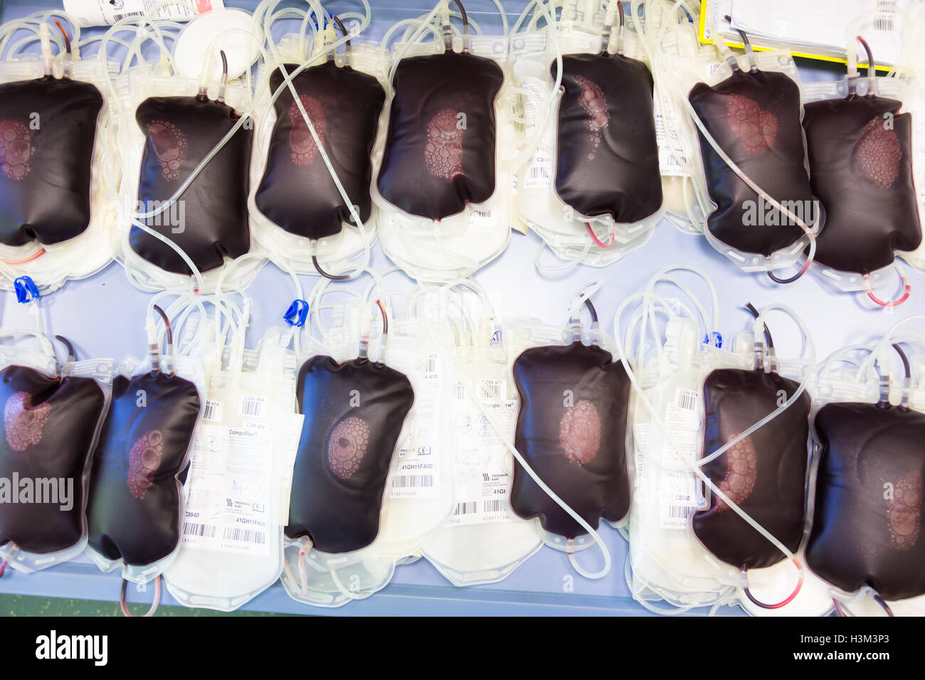 Blood transfusion bags. Stock Photo