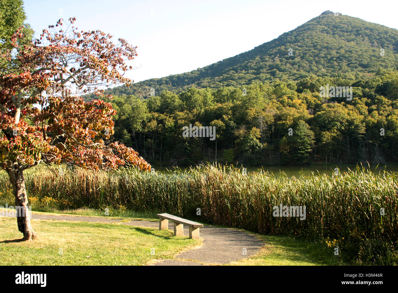 Virginia, USA. View of Sharp Top in autumn, from Peaks of Otter. Stock Photo