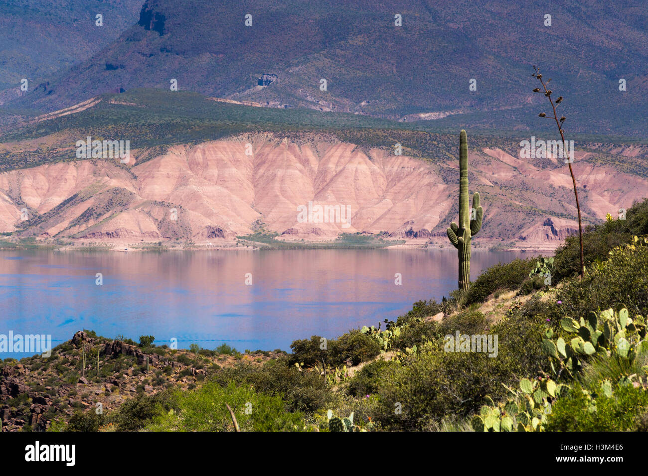 Badland hills flooded by the damming of Roosevelt Lake at the base of the Sierra Ancha Mountains. Tonto National Forest, Arizona Stock Photo