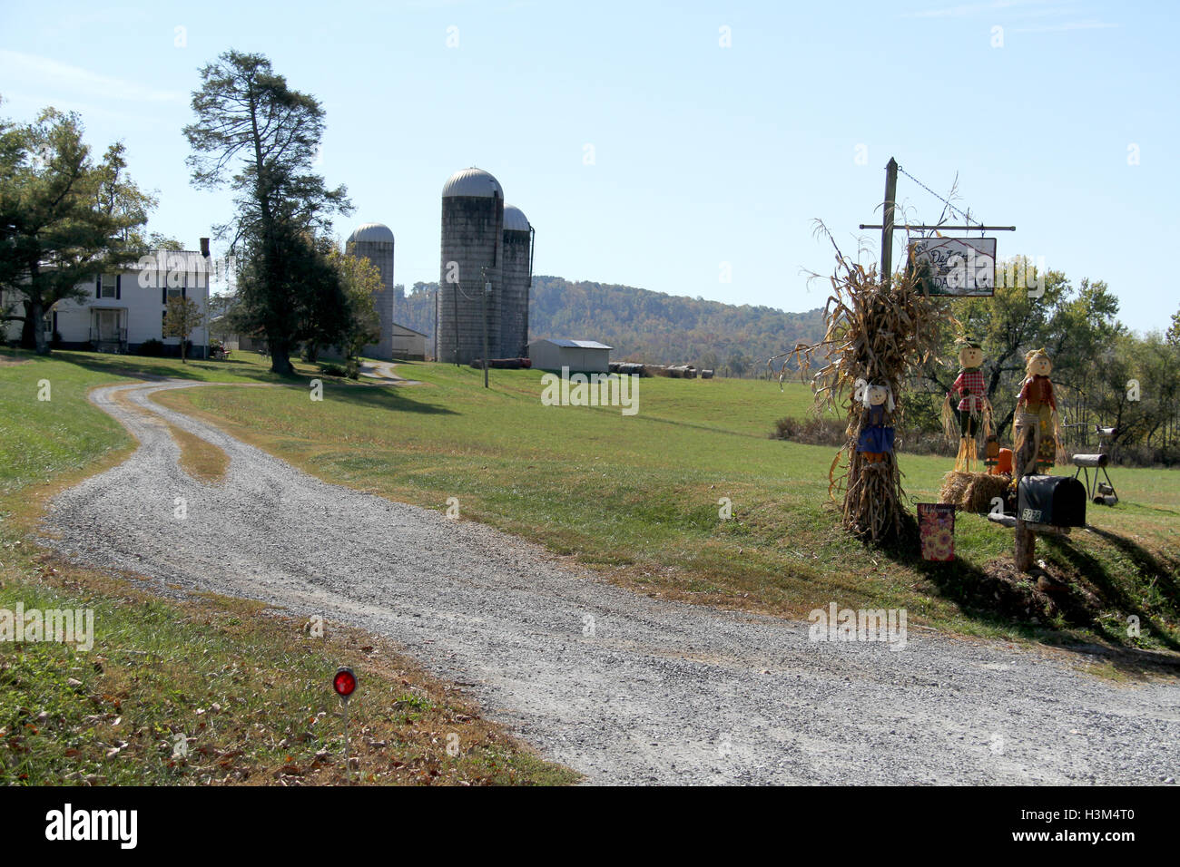 Outdoor Fall Decoration With Scarecrows Corn Stalks And Hay