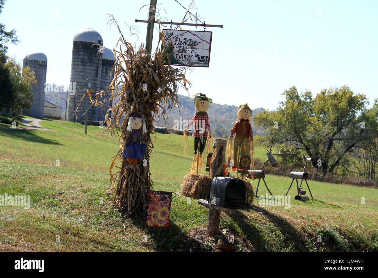 Outdoor Fall Decoration With Scarecrows Corn Stalks And Hay