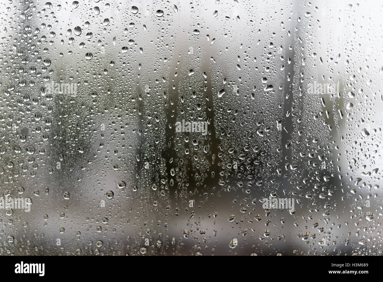 raining window background