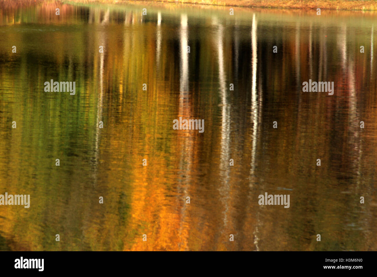 Image of trees in autumn colors reflected in the water Stock Photo - Alamy