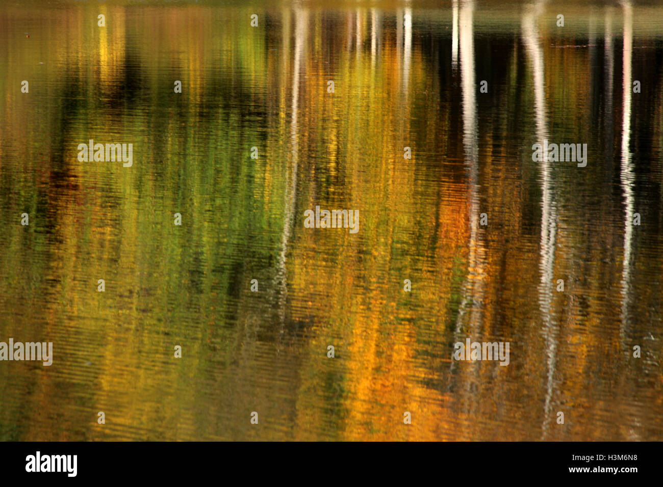 Image of trees in autumn colors reflected in the water Stock Photo - Alamy