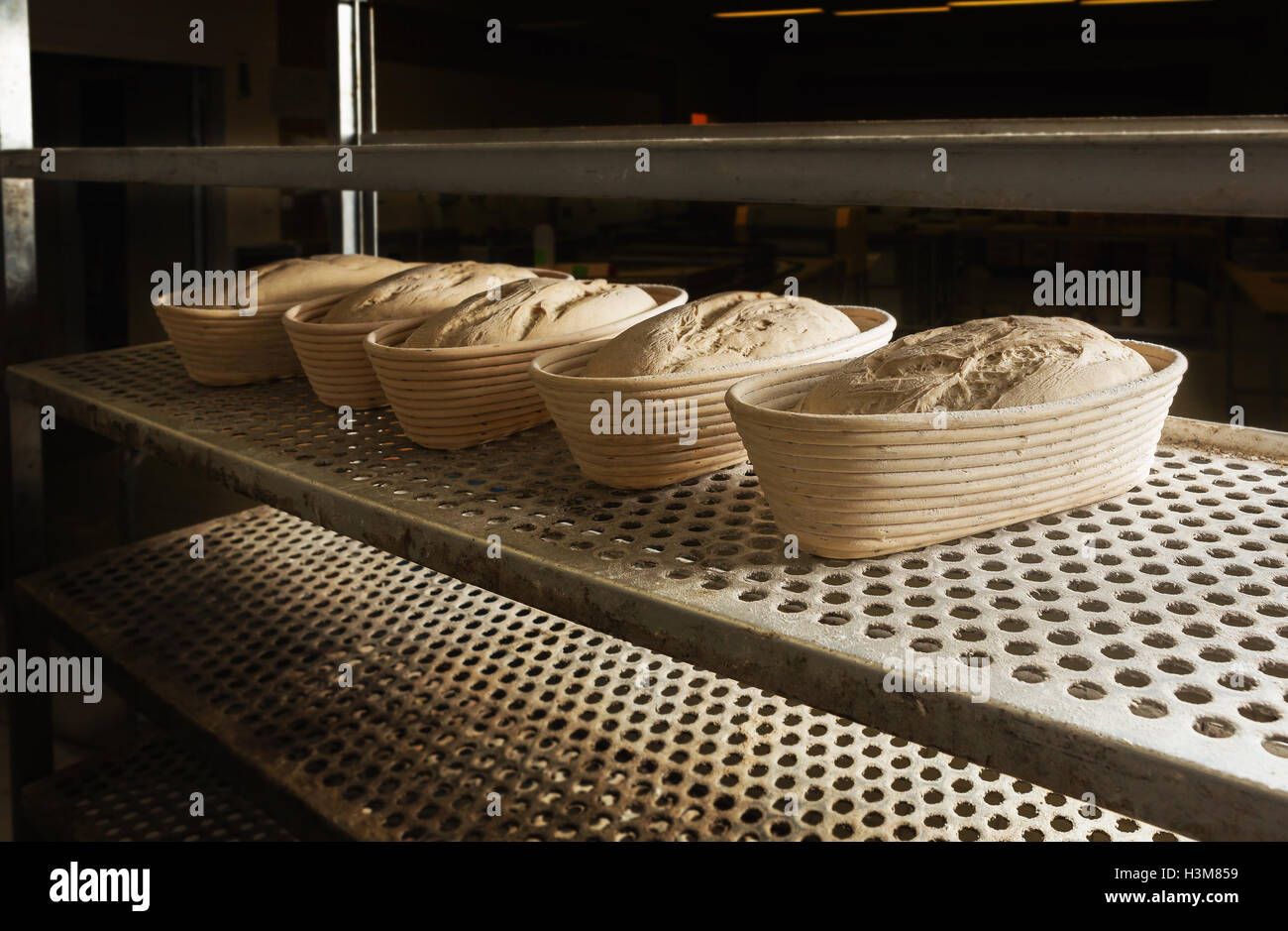 Raw leavened breads prepared on the rack before placing in the oven. Stock Photo