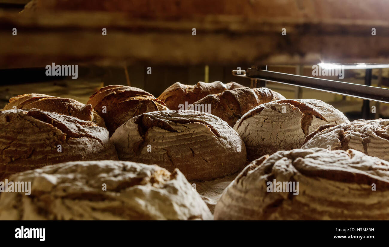 Fresh baked loaves of bread on a rack in a bakery Stock Photo - Alamy
