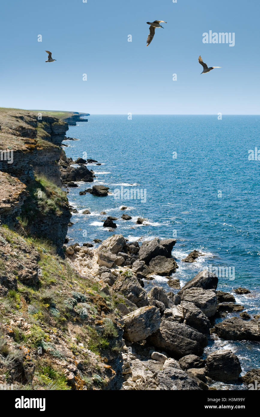 The Black Sea, rocks, sea gulls, sunny day.  Available in high-resolution and several sizes to fit the needs of your project. Stock Photo