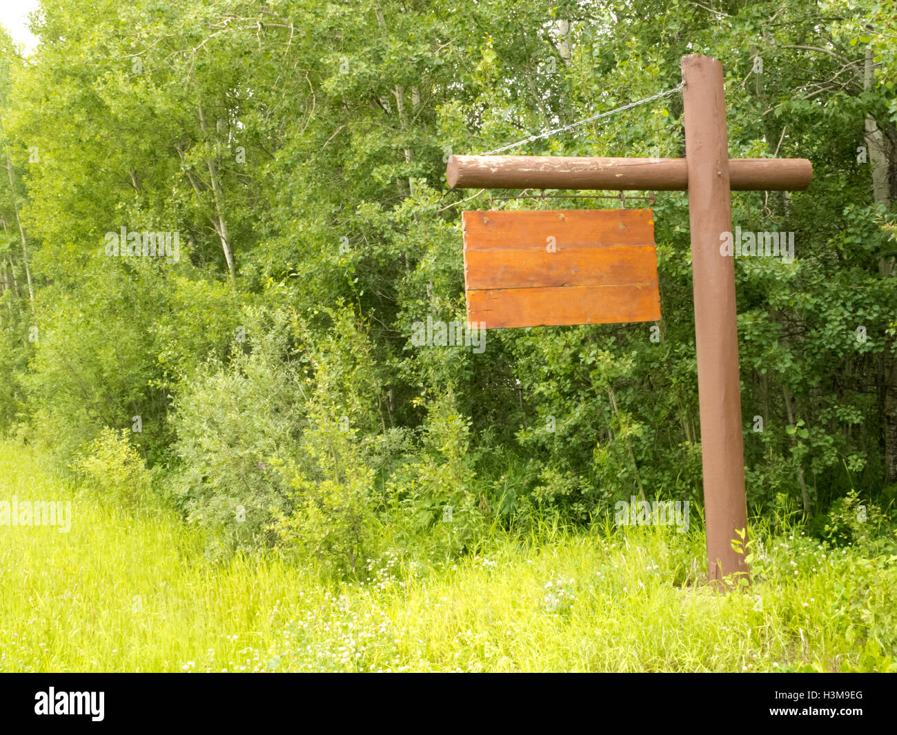 Blank wooden sign board dense green forest edge Stock Photo - Alamy
