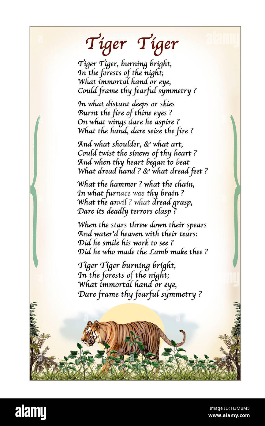 Tiger Tiger, Poem by William Blake. Modern Illustration based on original Blake design Stock Photo