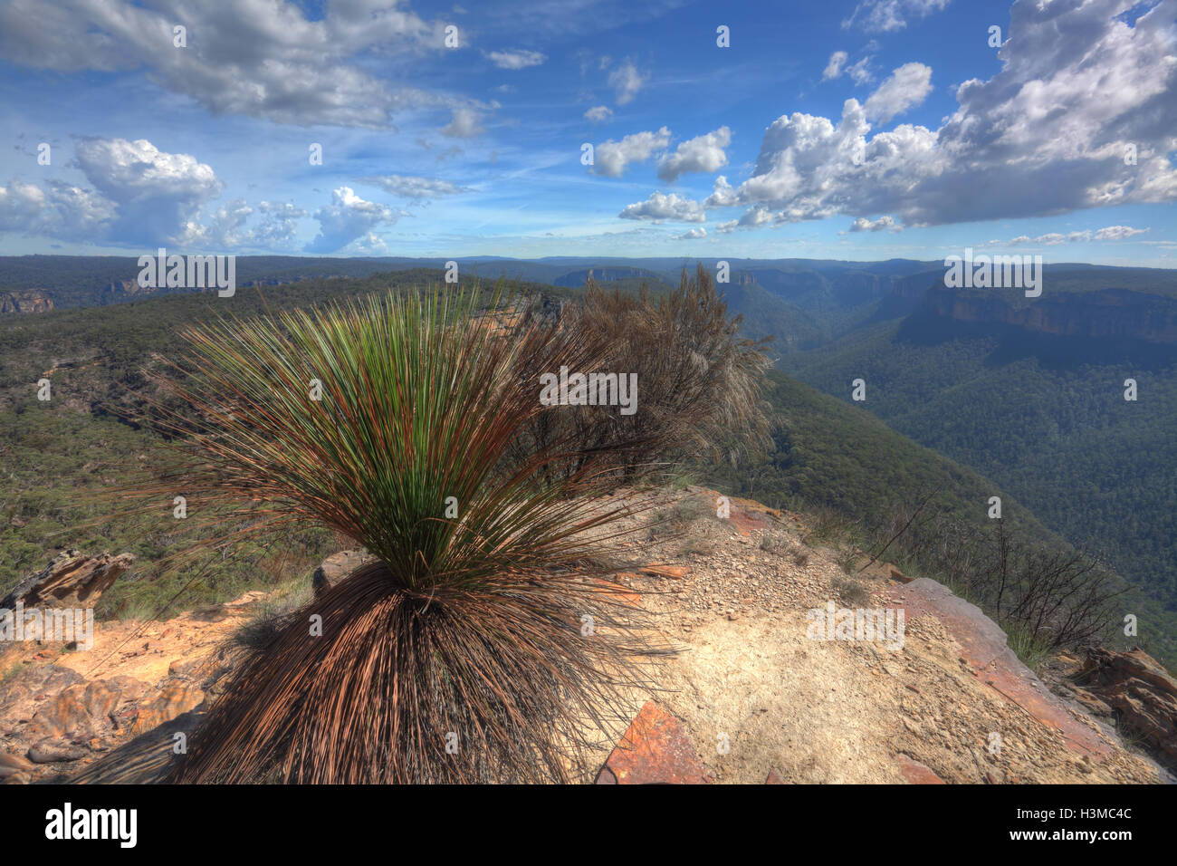 Grose valley blue mountains hi-res stock photography and images - Alamy