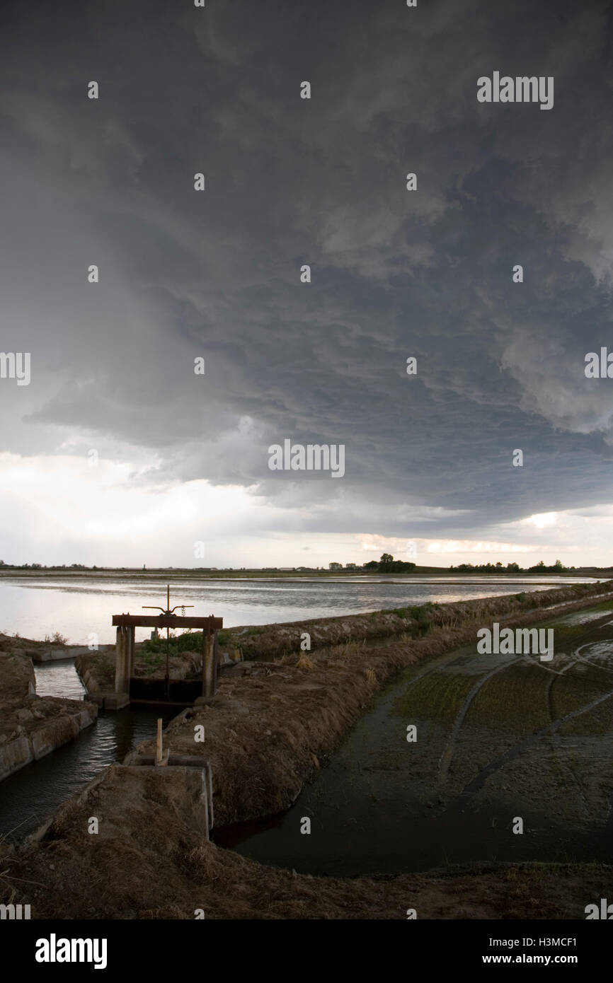 Irrigation system, paddy field, Novara, Piedmont, Italy Stock Photo