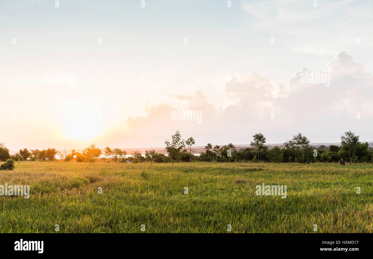 Field landscape at sunset, Lombok, Indonesia Stock Photo