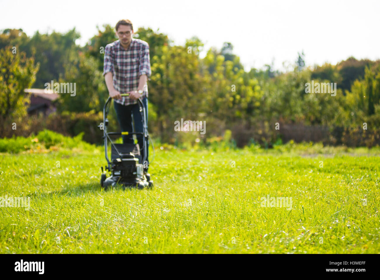 Young man is mowing the lawn on a nice sunny day. Stock Photo