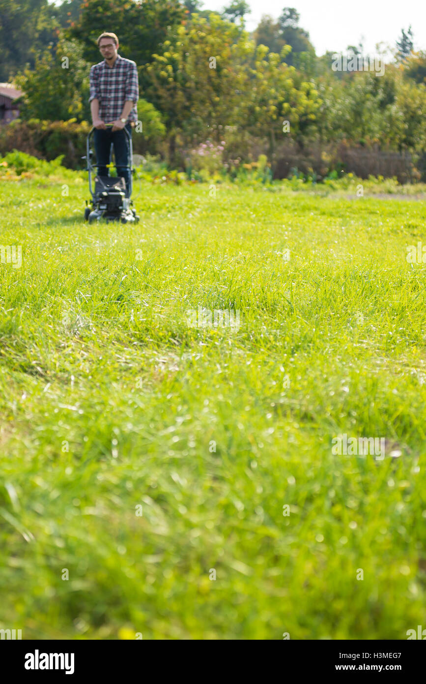 Young man is mowing the lawn on a nice sunny day. Stock Photo